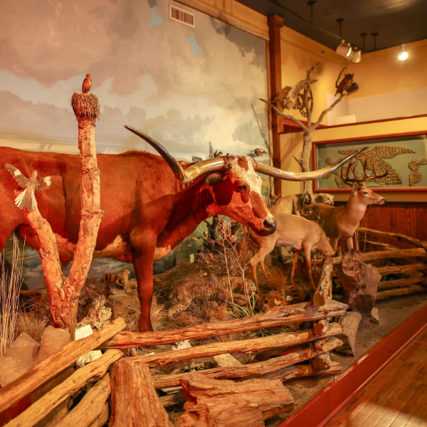 The Texas Ranger Museum