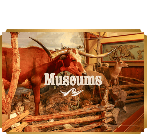 Go to The Texas Ranger Museum